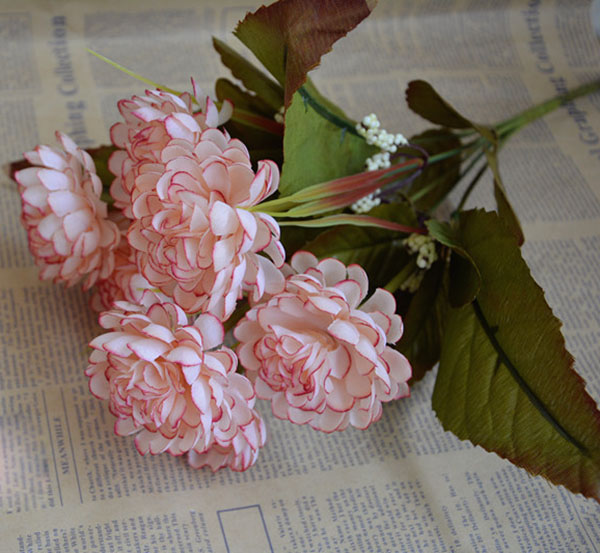 hoa vải , hoa cúc hà lan cao cấp, giá rẻ